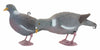 Sport Plast Full Body Pigeon - Standing & Feeding