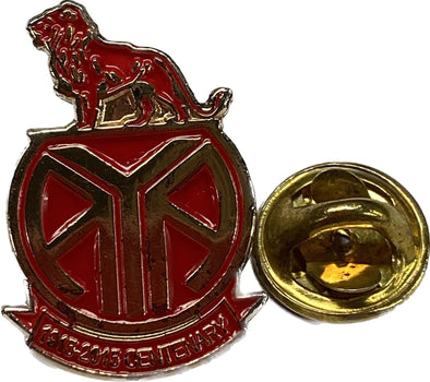 AYA (1915 - 2015) Centenary Pin